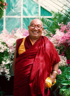 Ugyen Tseten Rinpoche